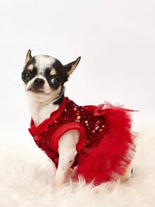 PETSIN 1 pieza Vestido de princesa con lentejuelas y malla para mascotas para el Día de San Valentín - Rojo - Ver 6