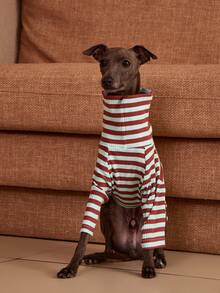 PETSIN Pawparrel Striped Long Sleeve Warm And Comfortable Sweatshirt, Autumn/Spring - Multicolor - View 2