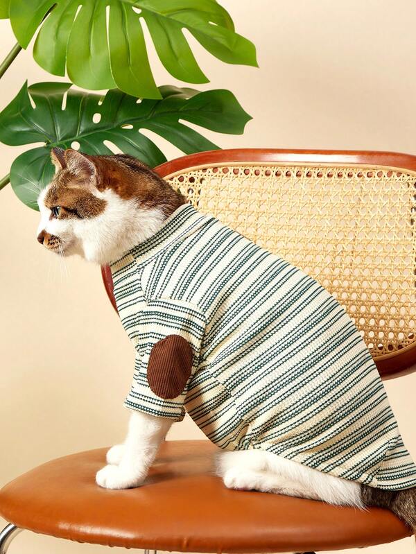 PETSIN 适合秋季穿着的狗狗和猫咪服装，泰迪熊、比熊犬、博美犬、雪纳瑞犬款式，开心果绿色打底宠物服装，适合小型和中型犬在秋季、冬季和春季穿着。