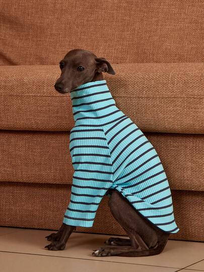 PETSIN Pawparrel Striped Long Sleeve Warm And Comfortable Sweatshirt, Autumn/Spring