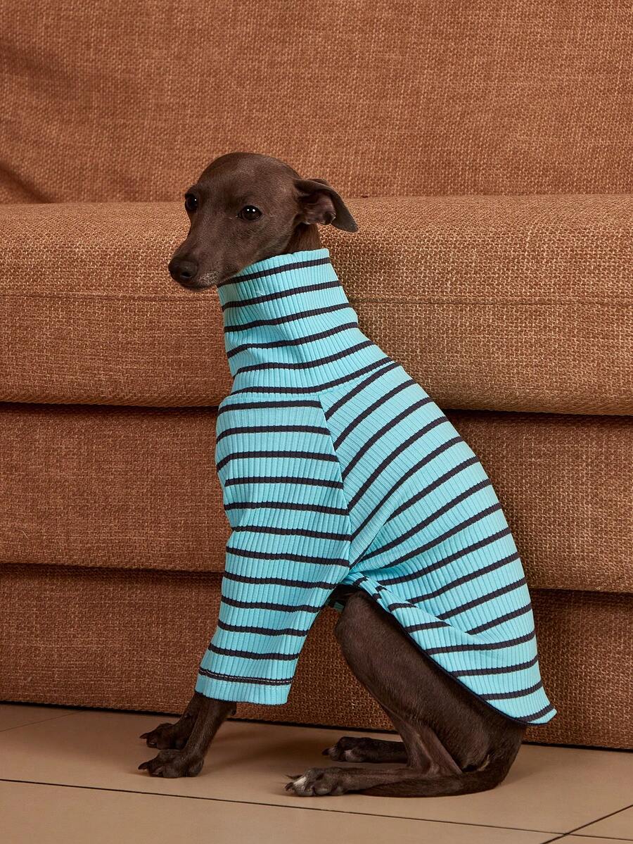 PETSIN Pawparrel Striped Long Sleeve Warm And Comfortable Sweatshirt, Autumn/Spring - Multicolor - View 1