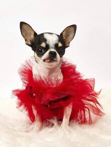 PETSIN 1件宠物通用情人节亮片网纱公主裙狗狗服装