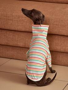 PETSIN Pawparrel Striped Long Sleeve Warm And Comfortable Sweatshirt, Autumn/Spring - Multicolor - View 3