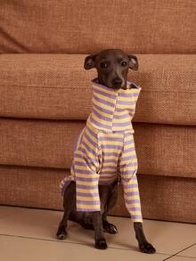 PETSIN Pawparrel Sudadera de manga larga a rayas, cálida y cómoda, para otoño/primavera - Multicolor - Ver 4