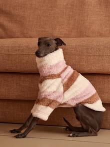 PETSIN Pawparrel 1pc Pet Autumn/Winter Double Sided Plush Elastic Comfortable Warm Fabric High Neck Dog Hoodie - Multicolor - View 4