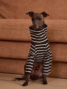 PETSIN Pawparrel Striped Long Sleeve Warm And Comfortable Sweatshirt, Autumn/Spring - Multicolor - View 7