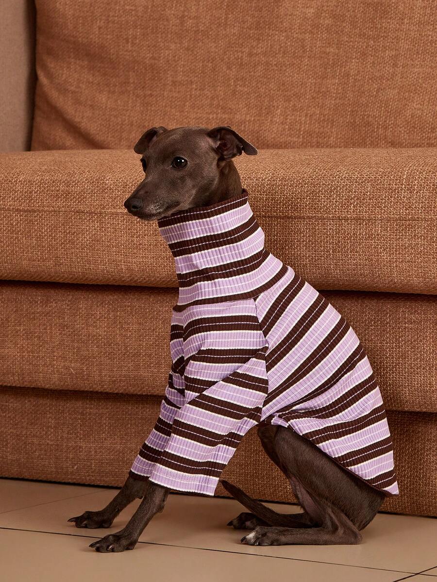 PETSIN Pawparrel Striped Long Sleeve Warm And Comfortable Sweatshirt, Autumn/Spring - Multicolor - View 1