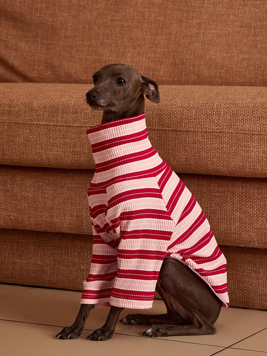 PETSIN Pawparrel Striped Long Sleeve Warm And Comfortable Sweatshirt, Autumn/Spring - Multicolor - View 1
