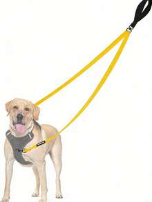 Two Point Control Dog Leash, Works With No Pull Harnesses, Dog Training Leashes, No Pull Padded And Reflective Walking Lead, Converts To Single Leash For Medium Large Dogs - Multicolor - View 12