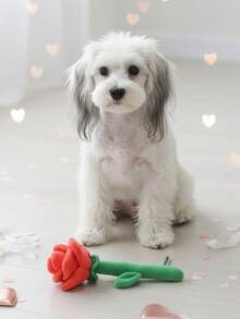 PETSIN 1pc Polyester Material Red Rose Flower Design Pet Toy With Squeaker, Mute Interactive Pet Toy Suitable For Cats, Dogs, Daily Use, Wedding Shooting,Valentine's Day Decor & Gift, For Small/Medium Pets - Red - View 3