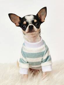 PETSIN Áo nỉ in hình mặt gấu nâu, phối màu, dày dặn, ấm áp, thích hợp cho thú cưng, thích hợp cho mùa thu đông. - Nhiều màu - Xem 3