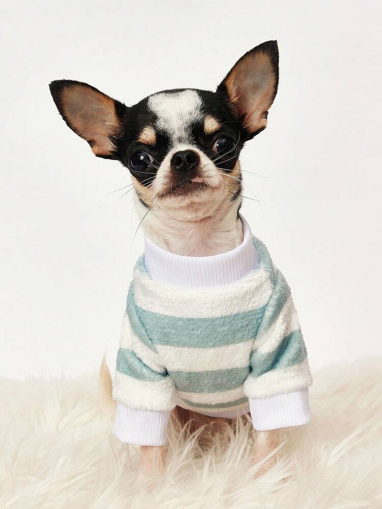 PETSIN 1件棕熊脸印花法兰绒卫衣，撞色设计，秋冬季加厚保暖宠物服装 - 彩色 - 查看 3