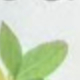 檸檬