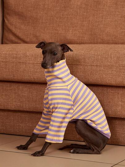 PETSIN Pawparrel Striped Long Sleeve Warm And Comfortable Sweatshirt, Autumn/Spring