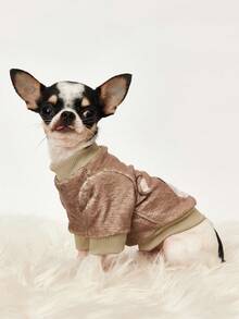 PETSIN 1 Pc Brown Teddy Bear Round Face Printed Flannel Sweatshirt, Autumn And Winter Thick Warm Pet Clothing - Multicolor - View 5