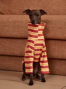 PETSIN Pawparrel Áo nỉ dài tay kẻ sọc ấm áp và thoải mái, mùa thu/xuân - Nhiều màu - Xem 4