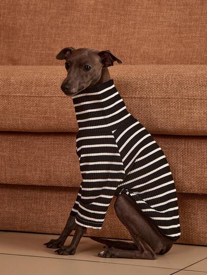 PETSIN Pawparrel Sudadera de manga larga a rayas, cálida y cómoda, para otoño/primavera