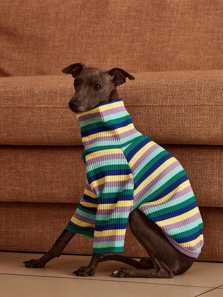 PETSIN Pawparrel Sudadera de manga larga a rayas, cálida y cómoda, para otoño/primavera - Multicolor - Ver 1