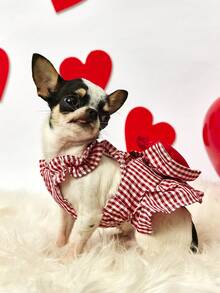 PETSIN Roupa fofa e delicada para a primavera, com estampa de corações para o Dia dos Namorados. Minissaia confortável e macia para animais de estimação, ideal para Yorkshire Terrier, Maltês, Bichon Frisé e Pomerânia. Perfeita para fotos de Dia dos Namorados, encontros familiares e uso diário. Look fashion para pets no Dia dos Namorados. - Multicolorido - Ver 10