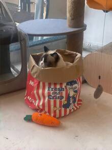 Popcorn Cat Toy - Fun Cartoon Bag For Interactive Play With Cats & Dogs, No Battery Needed - Multicolor - View 9