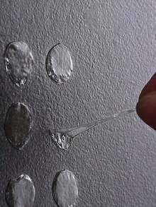 1000个气球胶点，双面胶气球贴纸，适用于婚礼装饰和道具，透明双面胶，易撕，不留残胶，每张1000个胶点 - 白色 - 查看 4