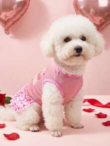 PETSIN Valentine's Day Style Pet Print Dress For Cat And Small Dog - Multicolor - View 6