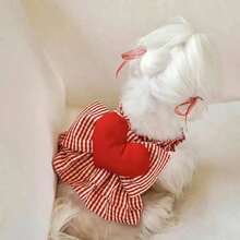 PETSIN Roupa fofa e delicada para a primavera, com estampa de corações para o Dia dos Namorados. Minissaia confortável e macia para animais de estimação, ideal para Yorkshire Terrier, Maltês, Bichon Frisé e Pomerânia. Perfeita para fotos de Dia dos Namorados, encontros familiares e uso diário. Look fashion para pets no Dia dos Namorados. - Multicolorido - Ver 17