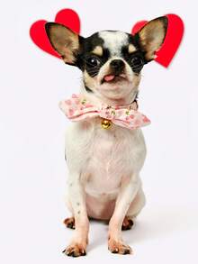 PETSIN Adjustable Detachable Rabbit Ear Pet Collar With Heart Pattern Cute Style Soft Comfortable Lightweight Breathable Durable Pet Accessory Perfect For Valentine's Day Daily Wear Photo Props Suitable For Small Dogs And Cats