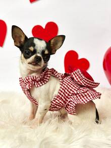 PETSIN Roupa fofa e delicada para a primavera, com estampa de corações para o Dia dos Namorados. Minissaia confortável e macia para animais de estimação, ideal para Yorkshire Terrier, Maltês, Bichon Frisé e Pomerânia. Perfeita para fotos de Dia dos Namorados, encontros familiares e uso diário. Look fashion para pets no Dia dos Namorados. - Multicolorido - Ver 5