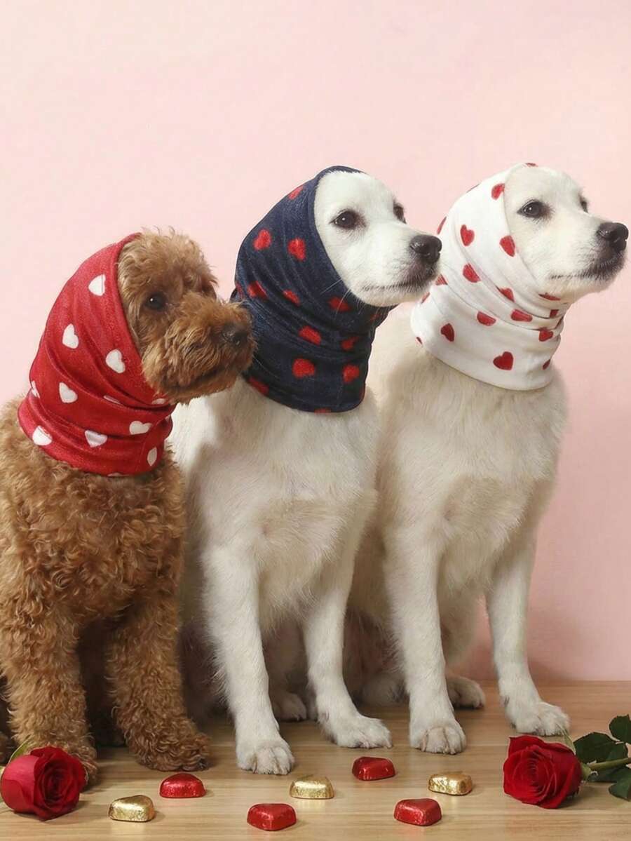 PETSIN 1个情人节宠物耳罩头带，涤纶双层心形弹力设计，适合小型犬 - 紅色 - 查看 1