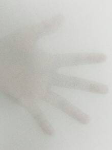 SHEIN CURVE+ 大码女式纯色立领长袖罗纹休闲 T 恤，秋季 - 白色 - 查看 7