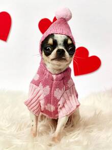 PETSIN 1 pièce Vêtements pour chien : Robe de princesse mignonne en style coréen avec imprimé cœur, pour chat British Shorthair bleu, Teddy, vêtements chauds pour chat d'automne et d'hiver - Multicolore - Voir 5