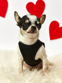 PETSIN 1pc Red Love Claw Print Valentine's Day Printed Pet Tank Top Black Sports Style Skin Friendly Breathable Summer Pet Clothing - Black - View 4