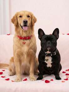 PETSIN Adjustable Classic Retro Collar For Pets, Dog, Cat, Pet Collar With Diamond-Studded Heart Embellishment - Multicolor - View 2