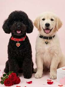 PETSIN Adjustable Classic Retro Collar For Pets, Dog, Cat, Pet Collar With Diamond-Studded Heart Embellishment - Multicolor - View 5