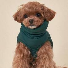 防风狗外套 棉质宠物夹克 冬季宠物狗衣服 小型犬皮标法斗夹克 加厚雪纳瑞背心 可机洗 - 綠色 - 查看 8