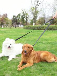 10/16/33 pies Correa multifunción para mascotas. Ideal para pasear perros al aire libre. Correa extendida, sin sujetar con la mano. Correa cruzada deslizante y duradera. Correa de entrenamiento para perros. Correa de alta calidad para perros. Duradera. Adecuada para entrenamiento, paseos y actividades al aire libre. - Perfecta para pasear perros y jugar en el patio trasero con mascotas de varios tamaños. Correa de nailon. Correa anti-golpes. - Negro - Ver 2