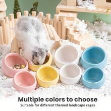 Ceramic Material Feeder, Anti-Spill Anti-Chewing Bowl Food Drinking Bowl, Parrot Cockatiels Parakeets Conures Zebra Finch Hamsters Guinea Pigs Rabbits Gerbil- Small Pet Supplies. - Multicolor - View 7