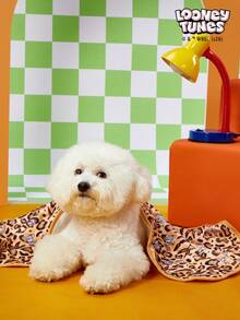 LOONEY TUNES X PETSIN 1 Chăn đa năng in hình báo đốm hình thỏ vui vẻ, ấm áp và thoải mái cho thú cưng (mèo, chó), màu kaki, dày dặn, thấm hút tốt, thích hợp cho mùa thu đông. - Màu Khaki - Xem 7