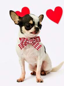 PETSIN 1 Piece Pet Valentine's Day Red Plaid Stripe Bow Tie Collar Pet Bow Tie Necklace Pet Accessory Valentine's Holiday Pet Supplies