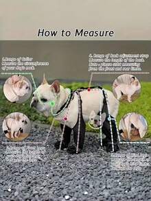 1 đôi ủng chống rơi cho chó cưng kèm quai xách an toàn! Dễ dàng vệ sinh và cực kỳ tiện lợi, ấm áp và chống bẩn, phù hợp với mọi kích cỡ chó. Một vật dụng cần thiết cho các hoạt động ngoài trời và chủ nuôi thú cưng. Thiết kế liền mạch, quai đeo vai có thể điều chỉnh, chất liệu dễ vệ sinh, thích hợp cho dịch vụ dắt chó đi dạo, phù hợp với chó nhỏ đến chó lớn. - Nhiều màu - Xem 2