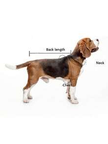 1件白色宠物雨衣，防水防风，透明款，小号防水防风，大号 - 粉色 - 查看 3