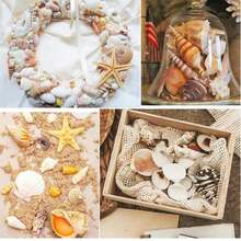 50/100 Pcs Small Starfish Star Sea Shell Beach For Craft 0.4"-1" Best Gifts Birthday Graduation - Multicolor - View 10