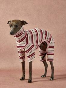 PETSIN Pawparrel 1件宠物秋冬时尚经典复古条纹印花学院风双面绒保暖弹力舒适狗狗高领连体衣 - 彩色 - 查看 4