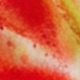 Coral Orange