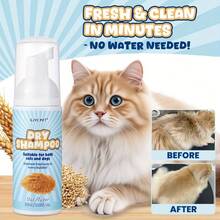 1PC/2pcs Oxidative Dog And Cat Shampoo, No-Wash Formula, Long-Lasting Deodorizing And Shampooing,3-In-1 Pet Grooming,Contains Oat Extract, Suitable For All Ages, Dog Shampoo, Sleek Bottle Design, Natural Ingredients. - Multicolor - View 9