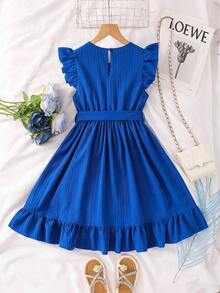 SHEIN Vestido de línea A con volantes en la cintura y estampado de mariposas en color azul claro, de uso casual y diario para niñas preadolescentes - Azul - Ver 5