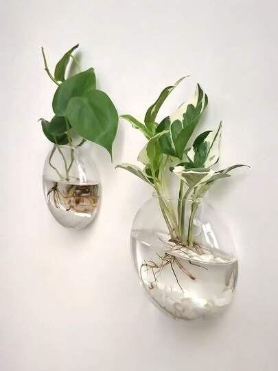 1/2/4 PIEZAS Maceta de cristal para pared con sistema de autorriego, contenedor hidropónico para plantas, hecho a mano, redondo, transparente, de cristal, para decoración del hogar y oficina, moderno, minimalista, jarrón colgante, arte de pared, exhibición de plantas de interior