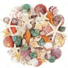 50/100 Pcs Small Starfish Star Sea Shell Beach For Craft 0.4"-1" Best Gifts Birthday Graduation - Multicolor - View 2