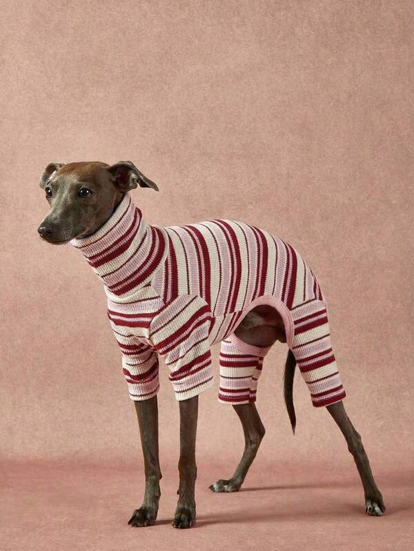 PETSIN Pawparrel 1 Pc Pet Autumn/Winter Fashion Classic Retro Stripe Printed College Style Double Sided Plush Warm And Elastic Comfortable Dog High Collar Jumpsuit